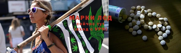 ПСИЛОЦИБИНОВЫЕ ГРИБЫ Алексин