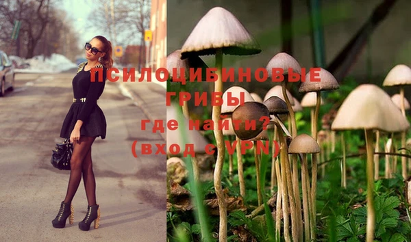тгк Алексеевка
