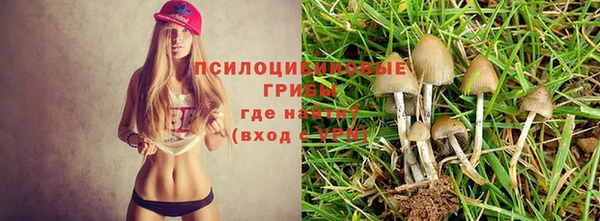 гашишное масло Абинск