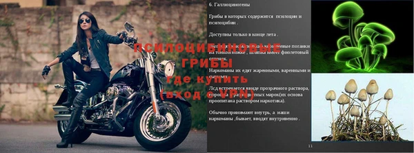 гашишное масло Абинск