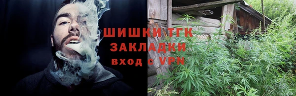 хмурый Алзамай