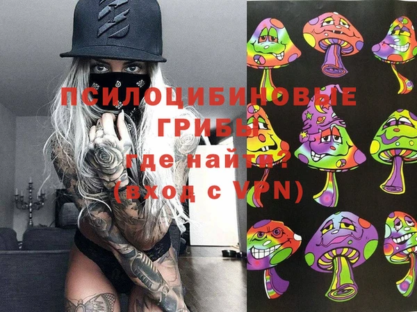 скорость Абаза