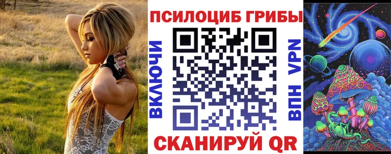 Галлюциногенные грибы Psilocybe  Богданович 